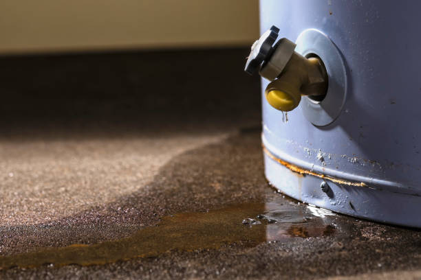 Best Flood restoration services  in Owensville, MO