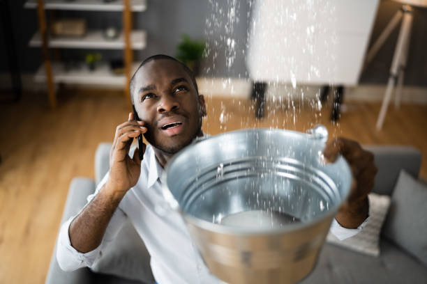 Best Carpet water damage restoration  in Owensville, MO