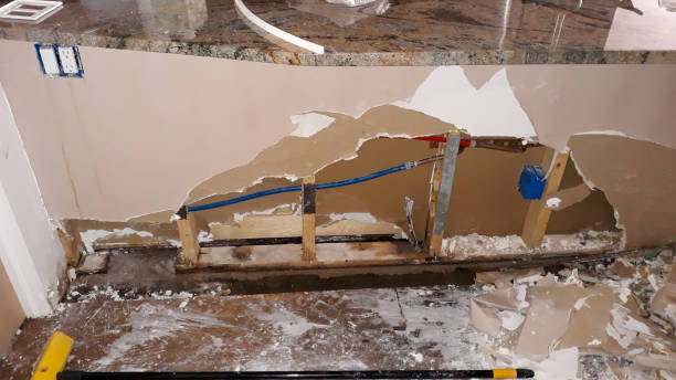 Best Flood damage cleanup  in Owensville, MO