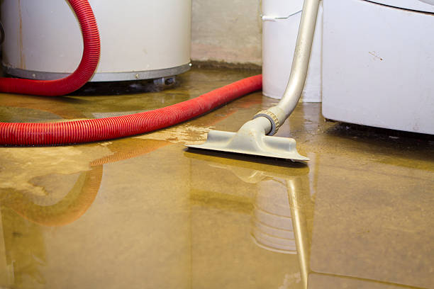 Best Water damage restoration near me  in Owensville, MO