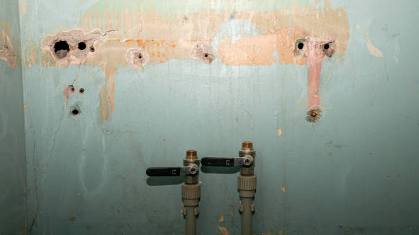 Local water damage restoration in MO
