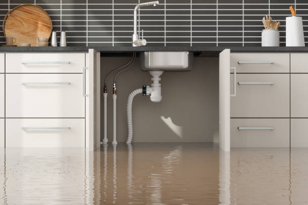  Owensville, MO Water damage restoration Pros