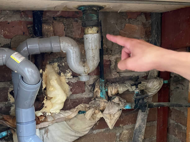 Best Basement water damage restoration  in Owensville, MO