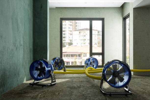 Best Commercial water damage restoration  in Owensville, MO